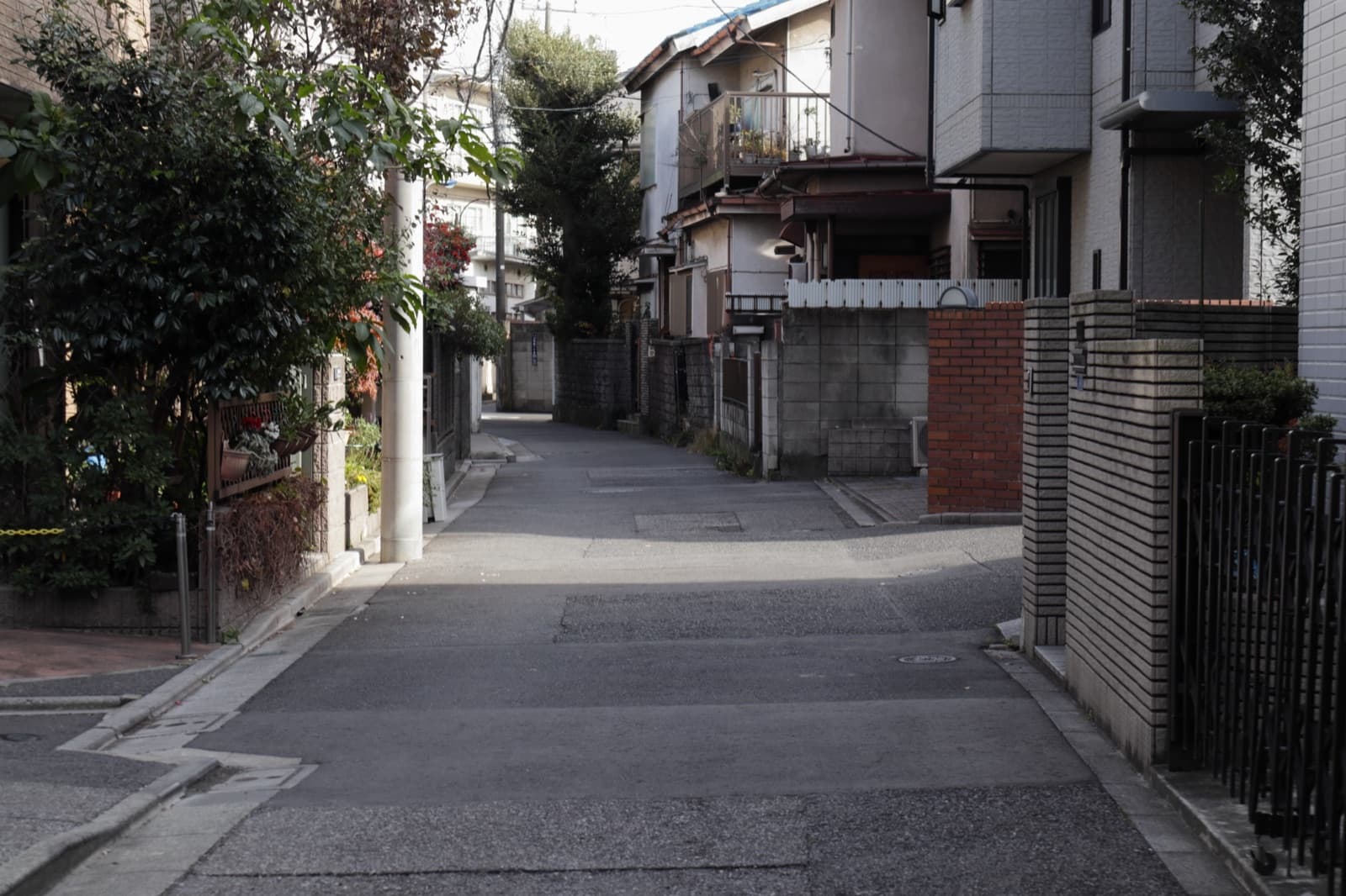 写真 曳舟・向島の風景