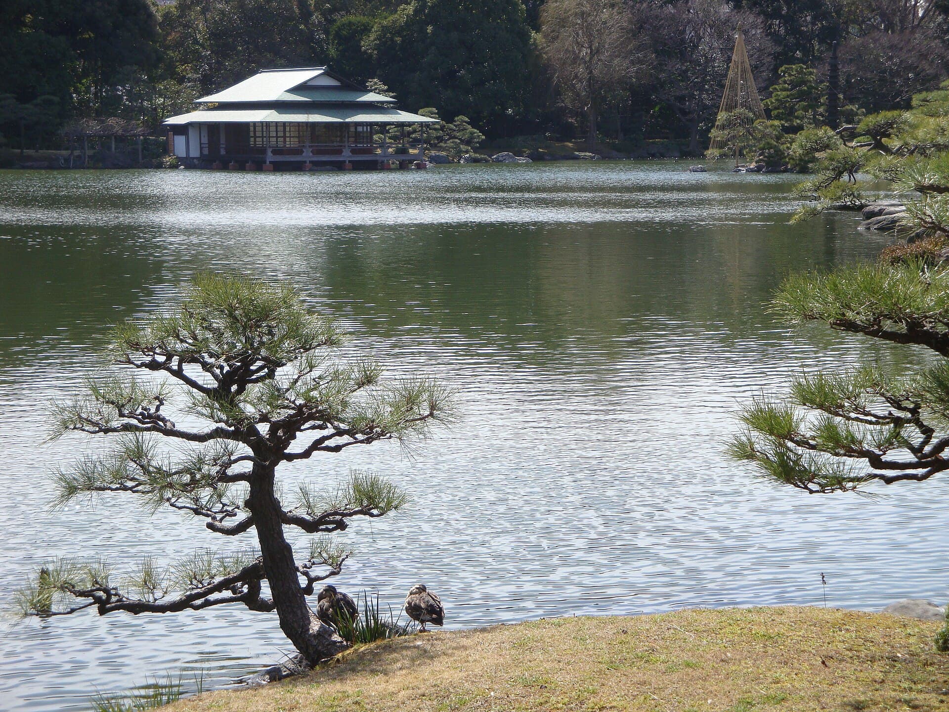 清澄庭園にある茶室建築(涼亭)の外観