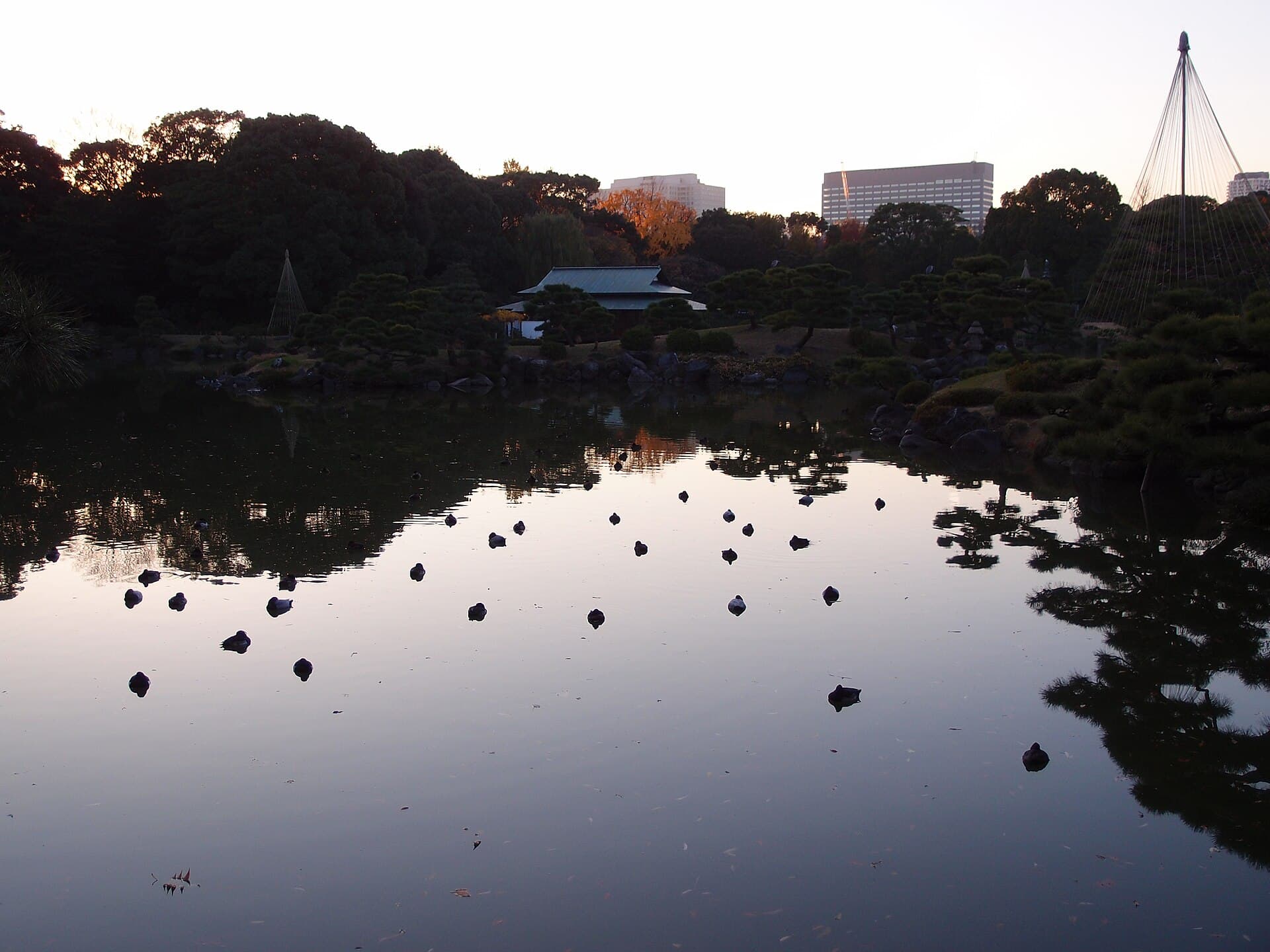 清澄庭園の園内風景