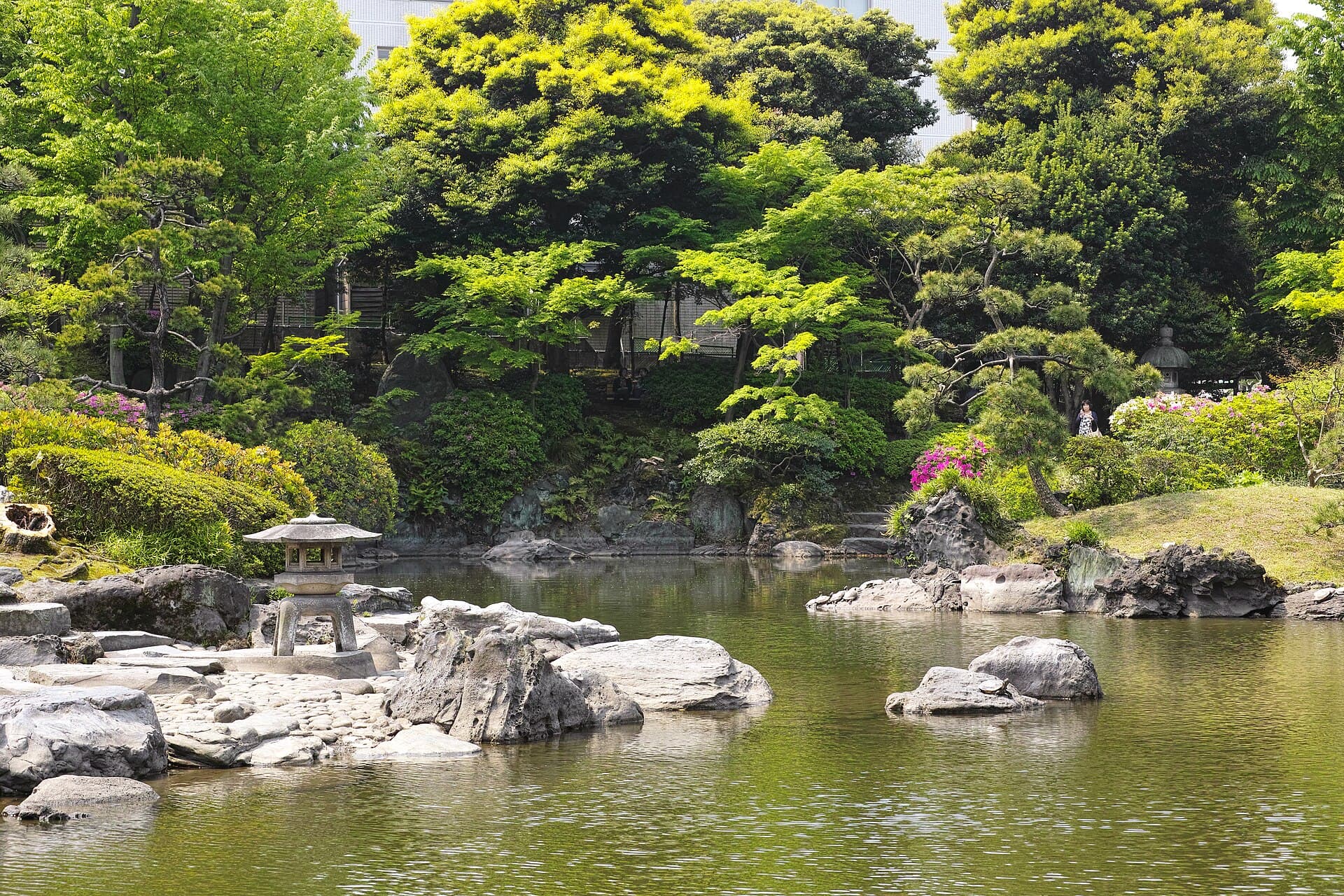 旧安田庭園の心字池と緑に囲まれた庭園風景